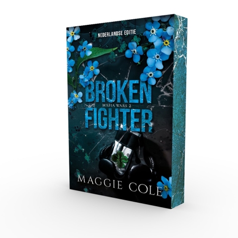 Broken fighter (Paperback)