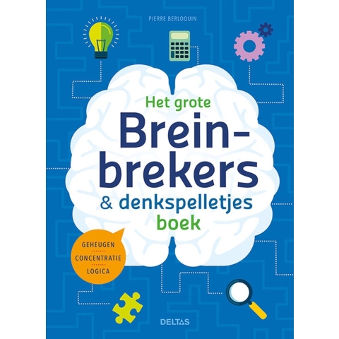 Het grote breinbrekers en denkspelletjes boek (Paperback)