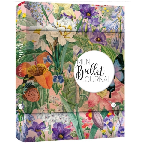 Mijn Bullet Journal (Hardback)