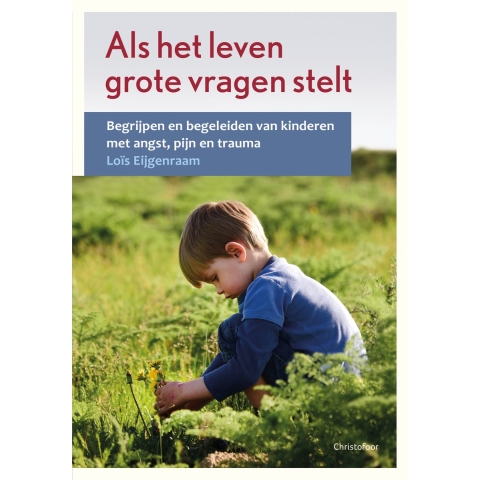 Als het leven grote vragen stelt (Paperback)