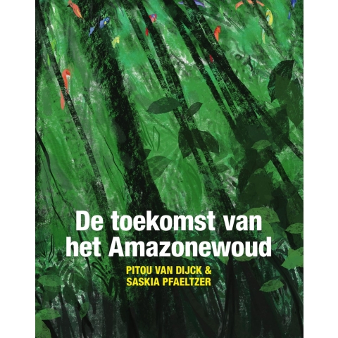 De toekomst van het Amazonewoud (Paperback)