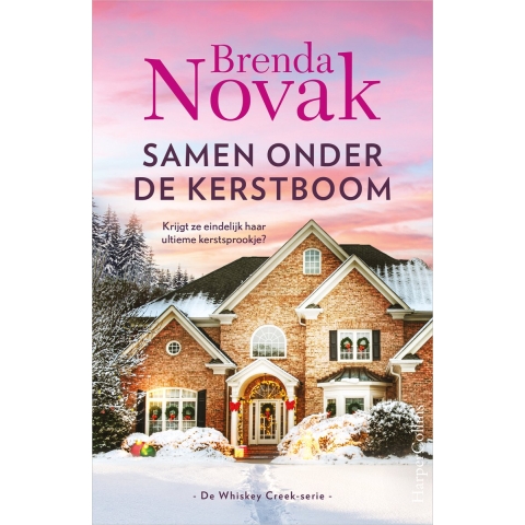 Samen onder de kerstboom (Paperback)