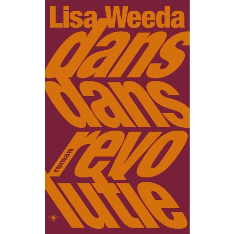 Dans dans revolutie (Paperback)