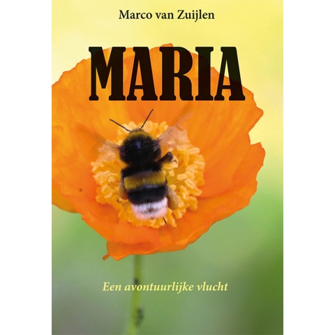 Maria (Paperback)