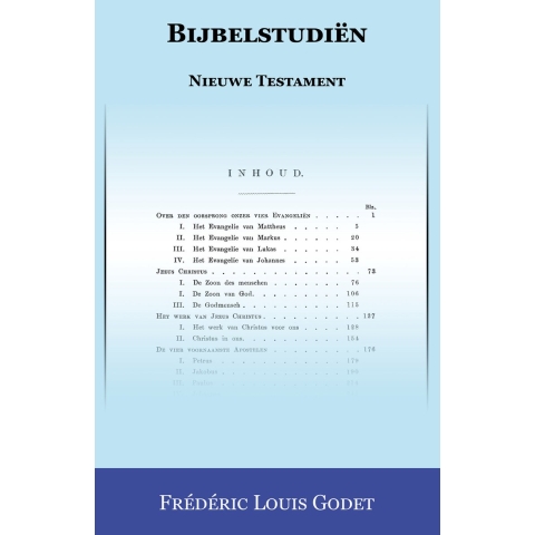 Bijbelstudiën Nieuwe Testament (Paperback)