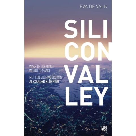 Silicon valley (Paperback)