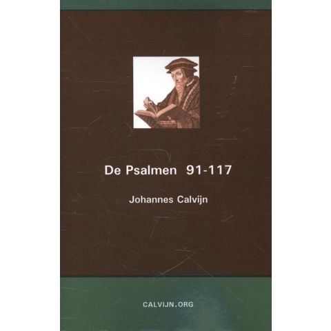 De Psalmen 91-117 (Paperback)