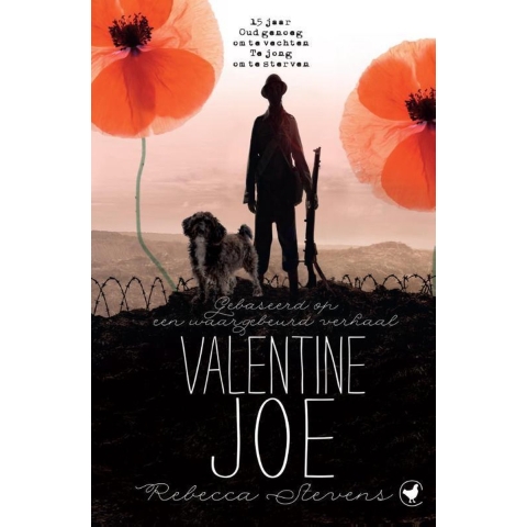 Valentine Joe (Paperback)