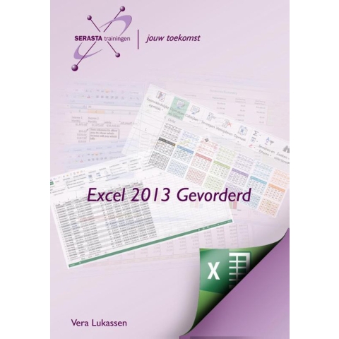 Excel 2013 (Paperback)