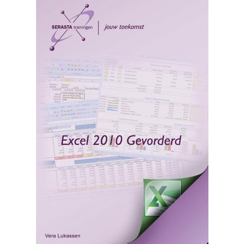 Excel 2010 (Paperback)