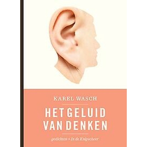 Het geluid van denken (Paperback)