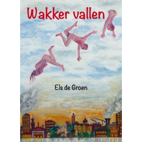 Wakker vallen (Paperback)