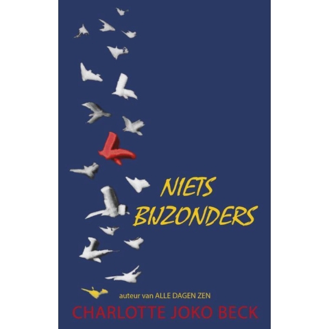 Niets bijzonders (Paperback)