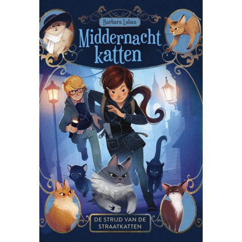 De strijd van de straatkatten (Hardback)