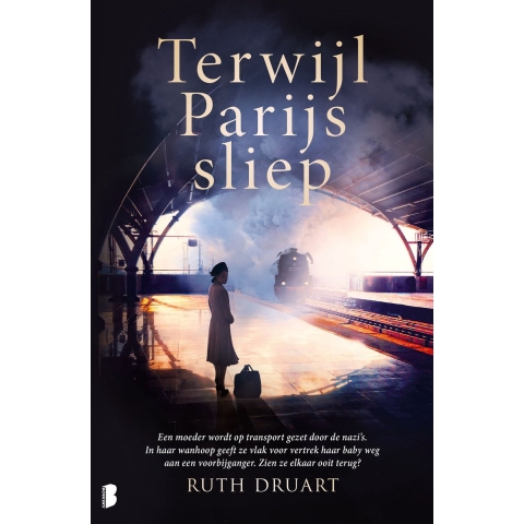 Terwijl Parijs sliep (Paperback)