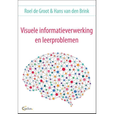 Visuele informatieverwerking en leerproblemen (Paperback)