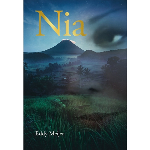 Nia (Paperback)