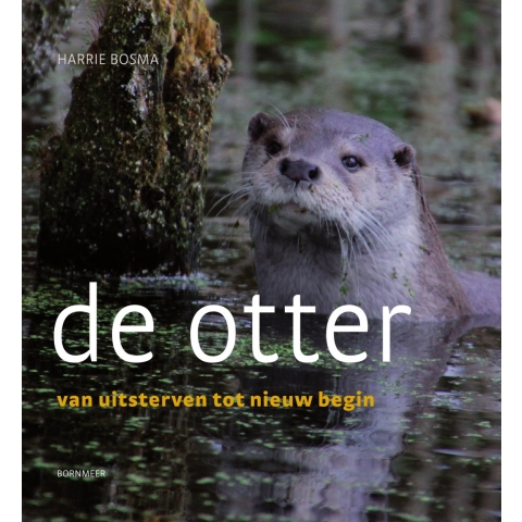 De otter (Paperback)