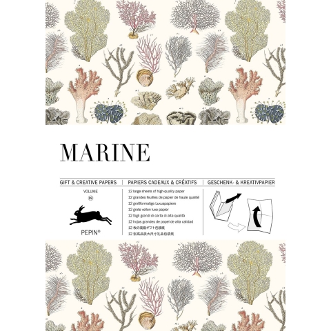 Marine (Paperback)