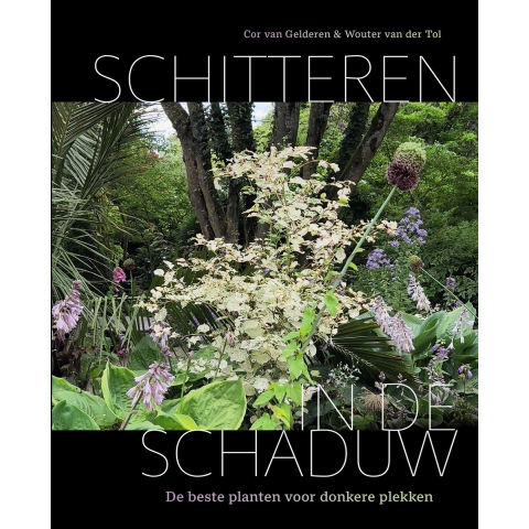 Schitteren in de schaduw (Hardback)
