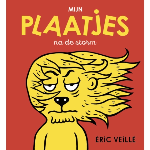 Mijn plaatjes na de storm (Hardback)