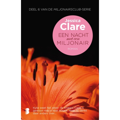Een nacht met een miljonair (Paperback)