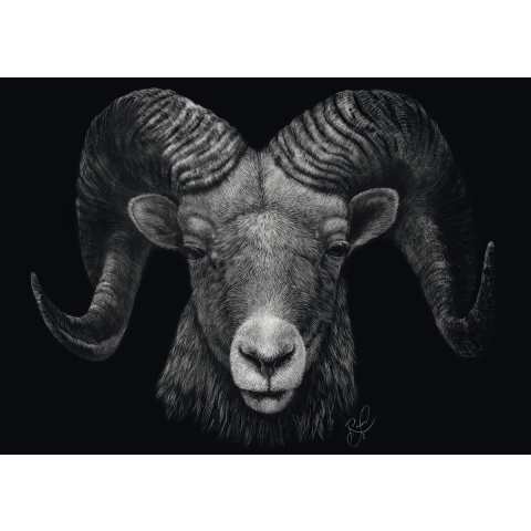 Dominantie - Ram: de belichaming van vuur - Puzzel