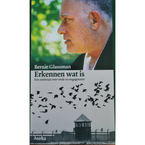 Erkennen wat is (Paperback)