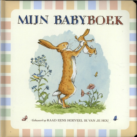 Mijn babyboek (Hardback)