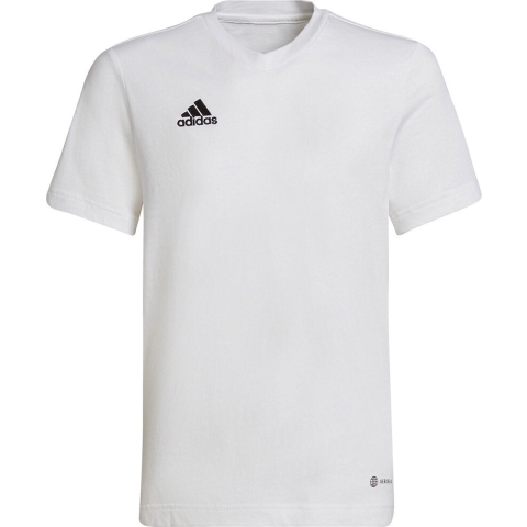 adidas Performance T-Shirt - ENT22 - Wit - adidas Performance - 14 jaar (164) - T-Shirt