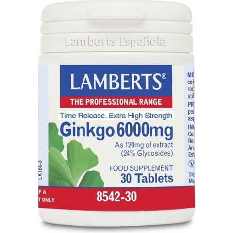 Lamberts Ginkgo 6000mg Time Release Tabletten