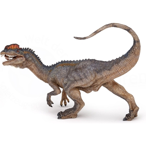Papo Dilophosaurus - L: 14 cm - Papo - OneSize - Dinosaur