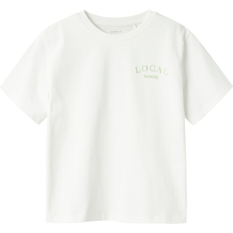 Name It T-Shirt - NkfBoway - Cloud Danser/ARCDIAN Green - Name It - 6 jaar (116) - T-Shirt
