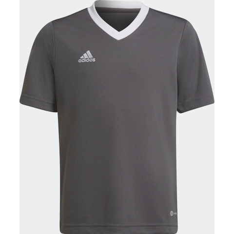 adidas Performance T-Shirt - ENT22 JSYY - Grijs/Wit - adidas Performance - 16 jaar (176) - T-Shirt