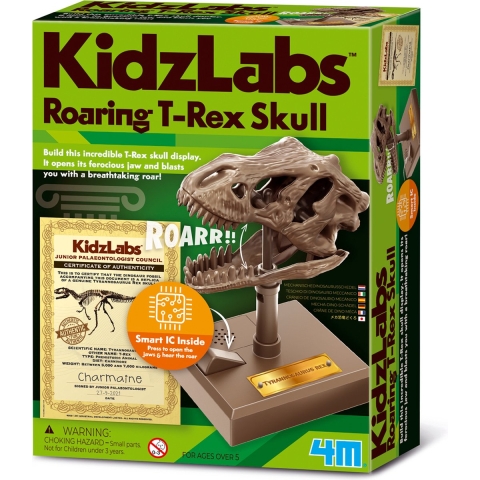 4M Schedel - KidzLabs - Brullende T-Rex Schedel - 4M - OneSize - Creatieve Speelset
