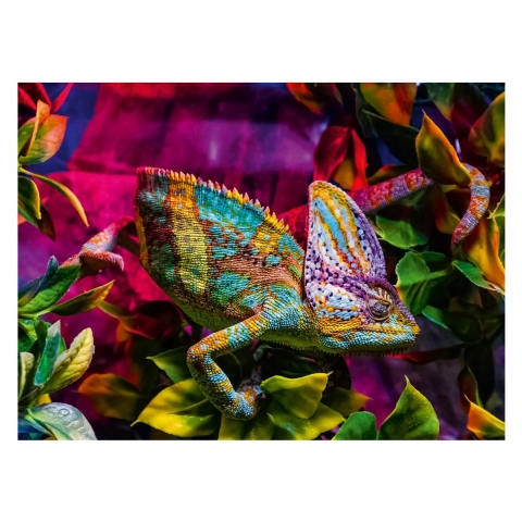 Ravensburger Puzzel - 500 Bakstenen - Kameleon - Ravensburger - OneSize - Puzzel