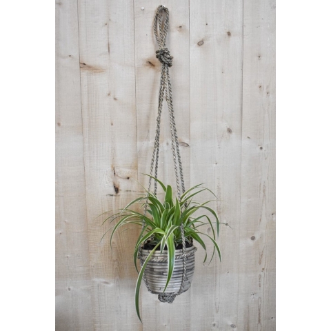 Graslelie in hangende pot beige/grijs - Warentuin natuurlijk