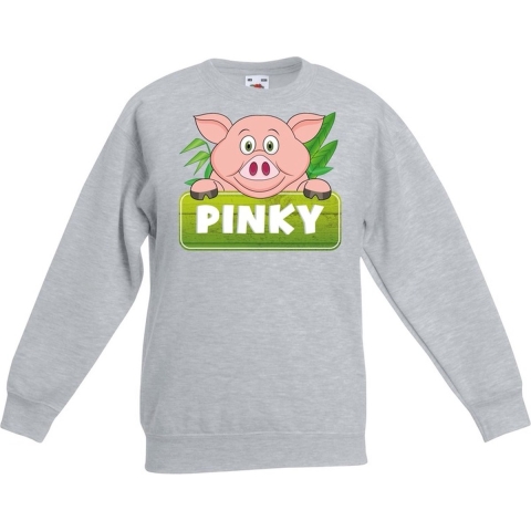 Sweater grijs voor kinderen met Pinky de big 9-11 jaar (134/146) -