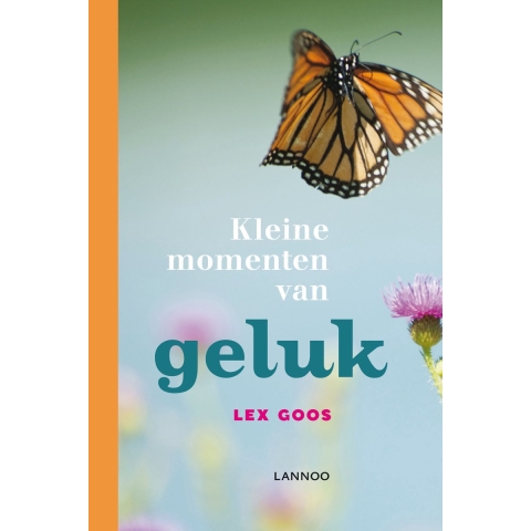 Kleine momenten van geluk (Hardback)