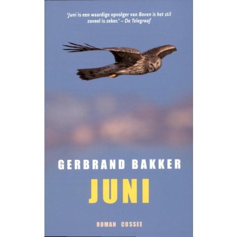 Juni (Paperback)