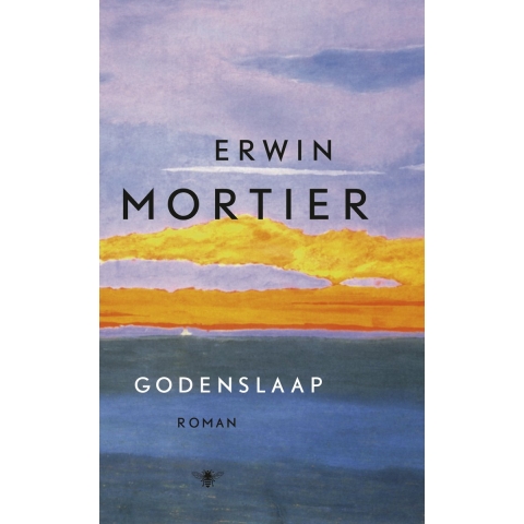 Godenslaap (Paperback)