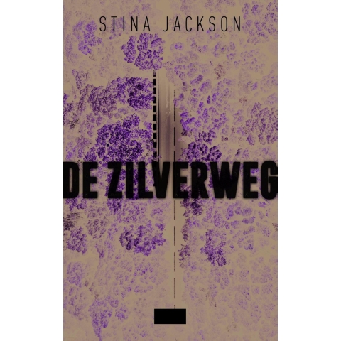 De zilverweg (Paperback)