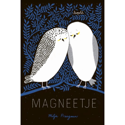Magneetje (Hardback)