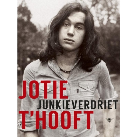 Junkieverdriet (Paperback)