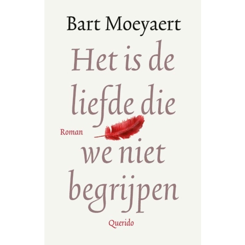 Het is de liefde die we niet begrijpen (Hardback)