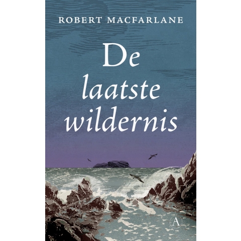 De laatste wildernis (Paperback)