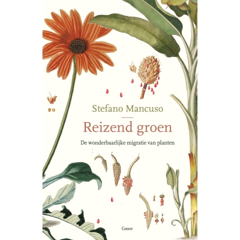 Reizend groen (Hardback)