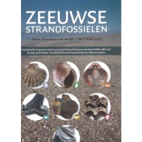 Zeeuwse strandfossielen (Paperback)