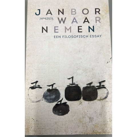 Waarnemen (Paperback)