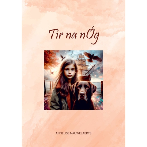 Tír na nóg (Paperback)
